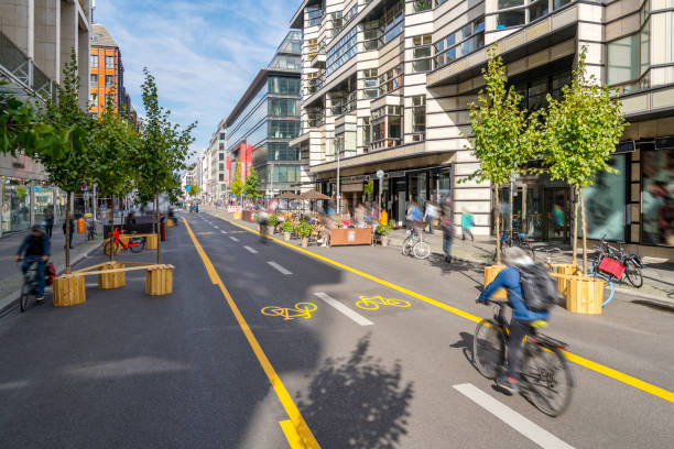 Bike Lane Delineators