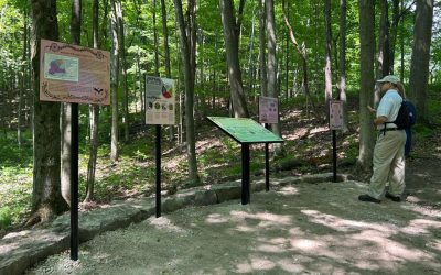 When Signage Becomes Living Memory: Kalitec at the Heart of the Basadinaa Experience
